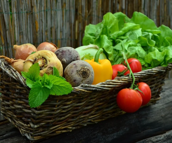 Wieviele gute Bakterien erhalten wir über unsere Ernährung?