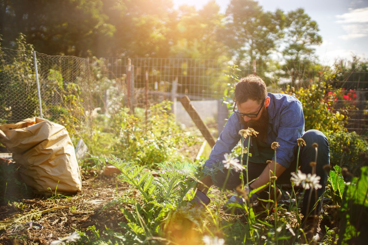 Gartenarbeit Mikroorganismen